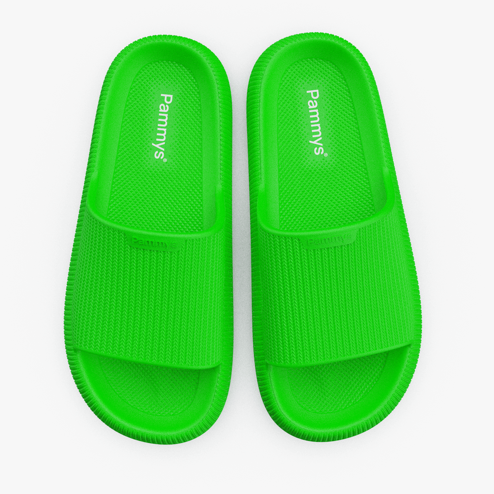 Pammys™ - Neon Origineel